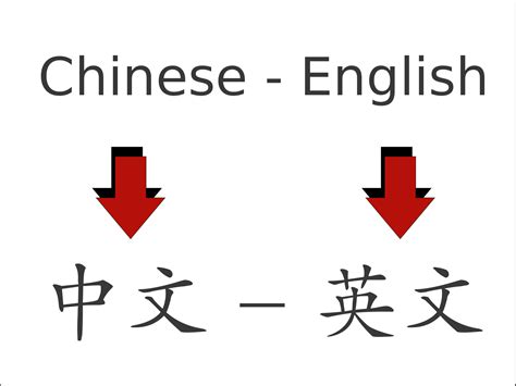 栽在|Translation of 栽 from Chinese into English